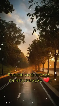 Tradução 