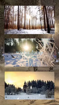 winter dump 