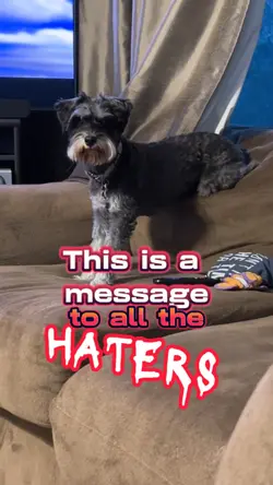 You're still a fan
