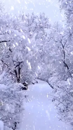 Snowscene