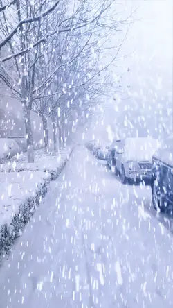 Snow
