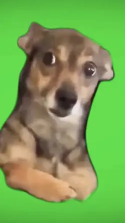 Awkward Side-eye  