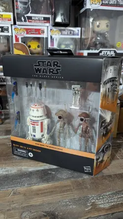 R5 D4