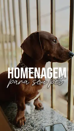 Amo meu pet 🐾