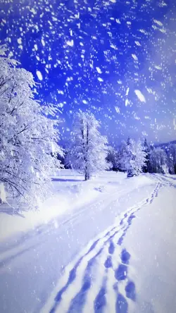 Snow 