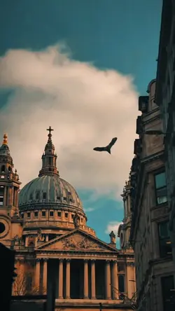 LONDON — 🇮🇷 SONG 🎵 