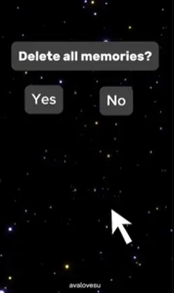 delete all memories?