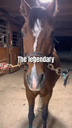 The Legendary Twitch