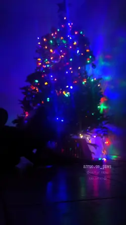 LATE XMAS POST