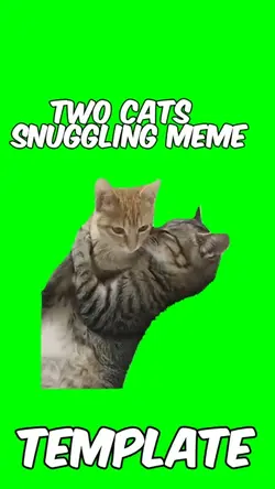 Cats snuggling 
