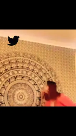 fim do Twitter 