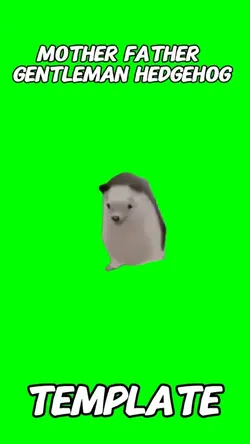 Dancing Hedgeho