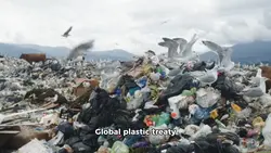 Plastic Zero Waste