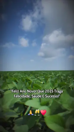 Feliz ano novo 