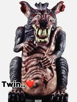 Twins ❤️