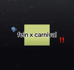 fein x carnival