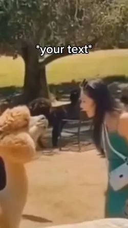 Spit in face meme