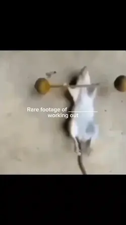 Rare footage
