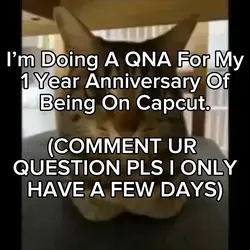 PLS COMMENT!1!!1!1!1