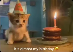 Almost my bday!