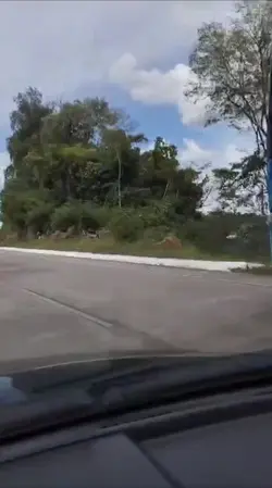 Raposa