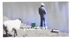 funny animal