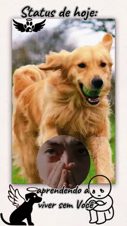 Status Pets
