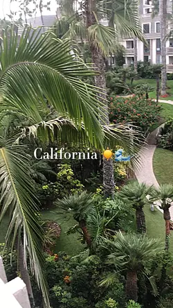 Cali 💗☀️