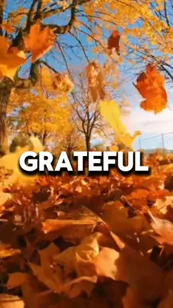 Im Grateful For…