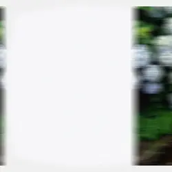 Toro edit