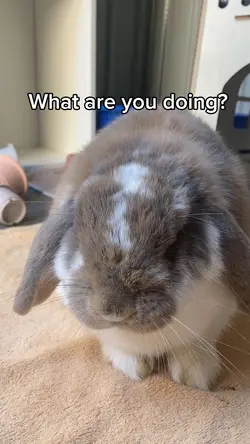 I’m very cute