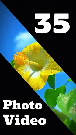 35 clip or photo 