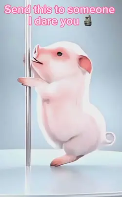 This lil piggy 😳