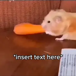 Hamster sucking 🥕