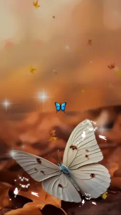 White Butterfly