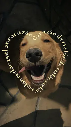 Corazón de Melón