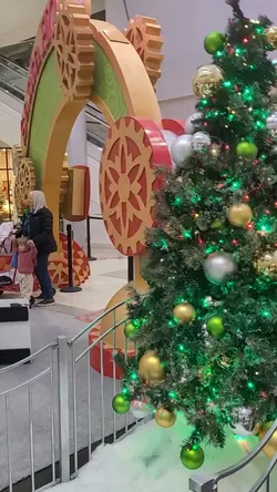 cat christmass tree