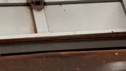 horizontal 