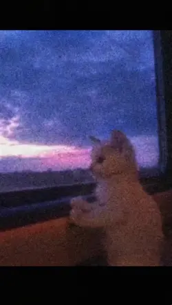 don't go to bed