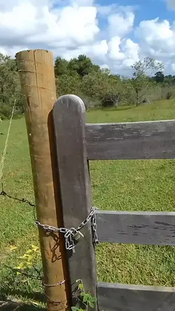 Eu na roça 