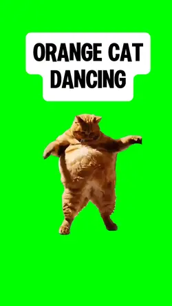ORANGE CAT DANCING