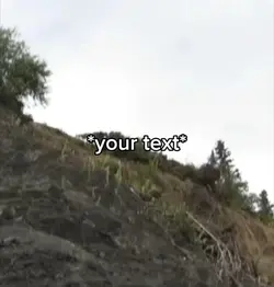 Driving meme