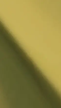 Viva Teste 