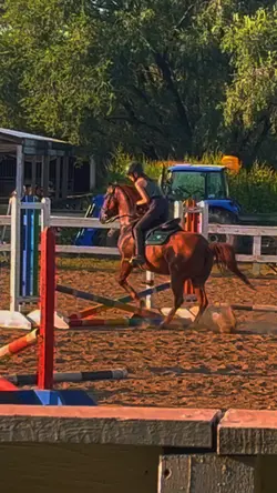 Clinic yesterday 