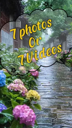 7photos/videos