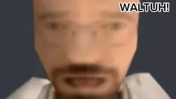 WALTER WHITE