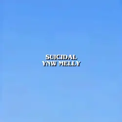 suicidal-ynw melly