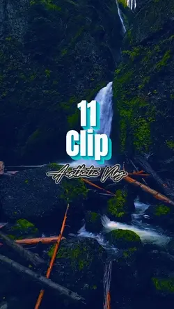 11 Clip Vlog