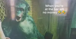 Free Drinks 