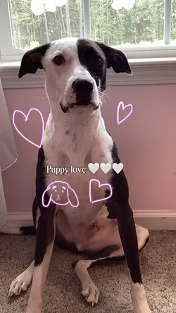 Puppy love!!!